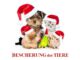 Einladung zur Tierweihnacht
