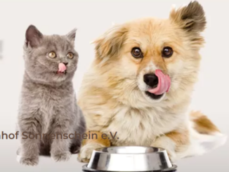 Unsere neue Wunschliste bei MyHappyPets!