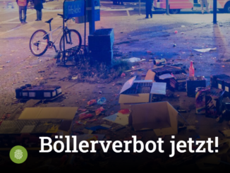 Petition: Böllerverbot gegen privates Silvesterfeuerwerk