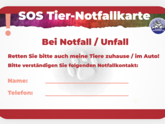 Tier-Notfallkarte für die Geldbörse 📌🐾