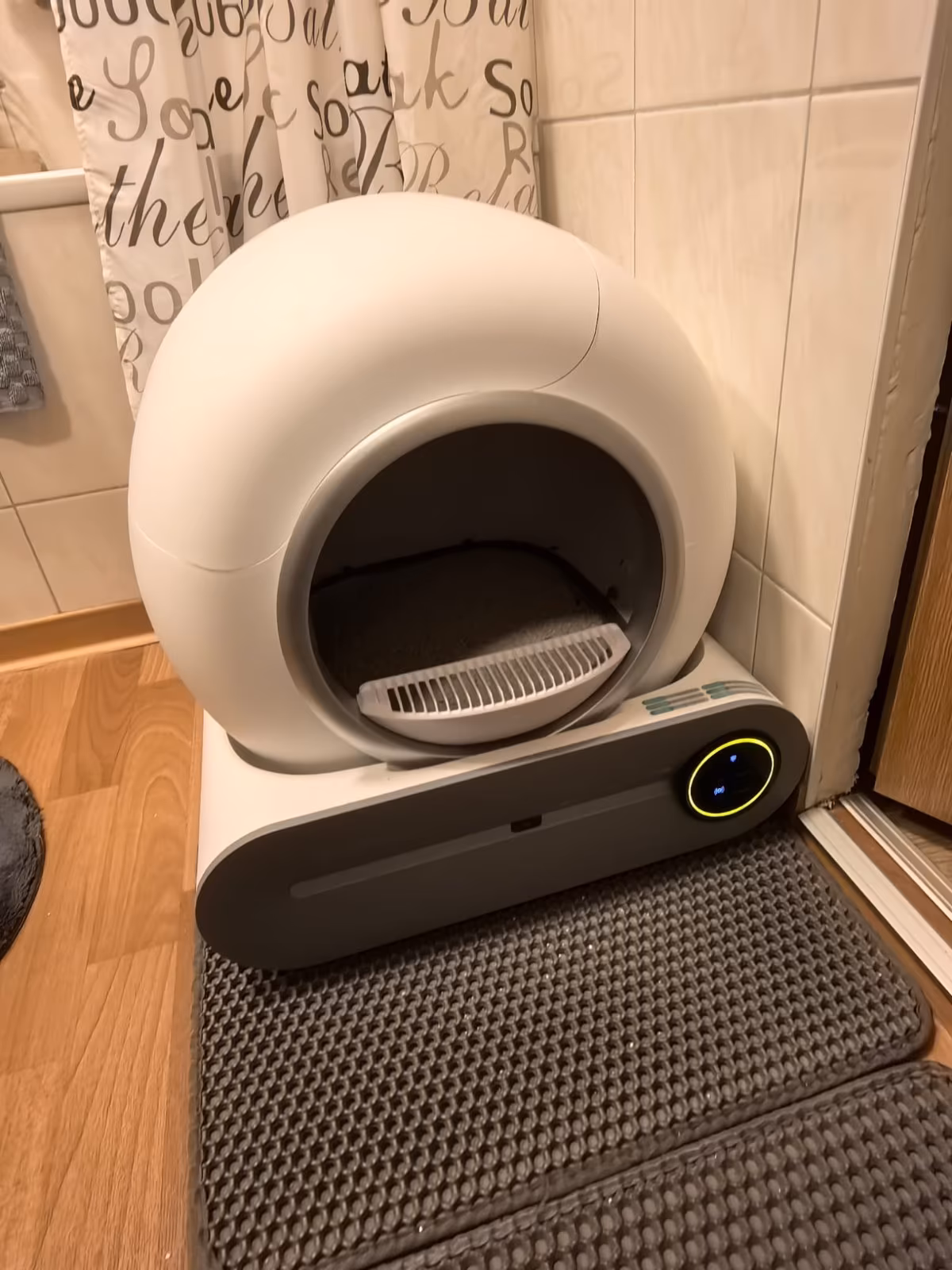 Eilt: Ginger sucht wieder ein schönes Zuhause!