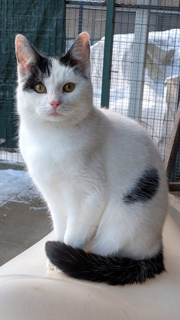 Lotta - auf PROBE vermittelt