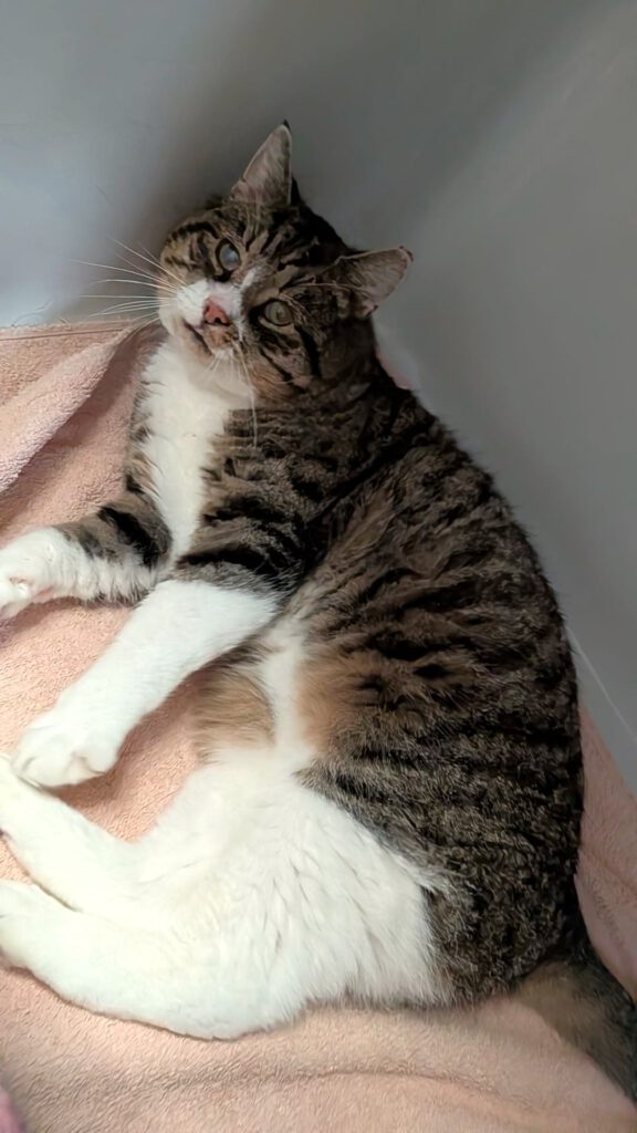 "10+ Opi" Reese braucht Einzelplatz!