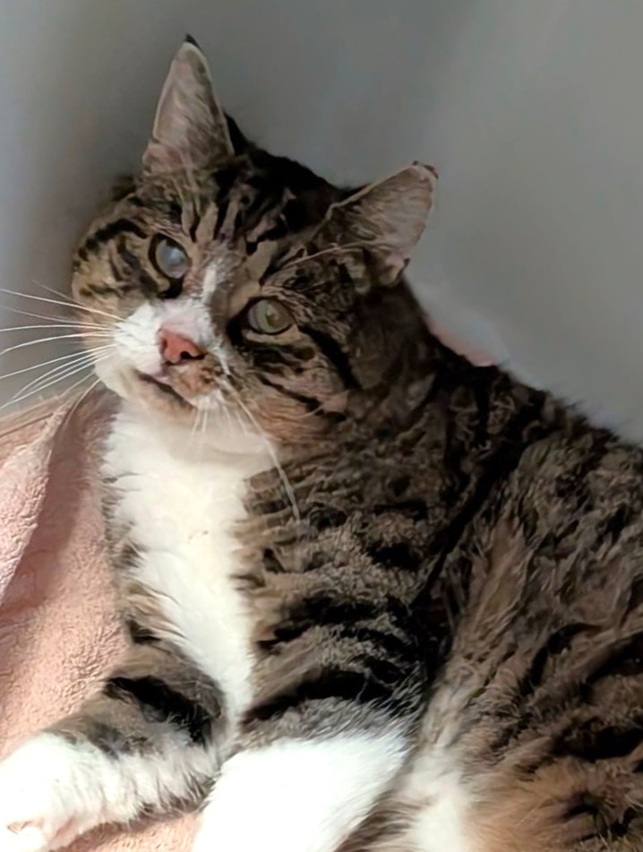 "10+ Opi" Reese braucht Einzelplatz!