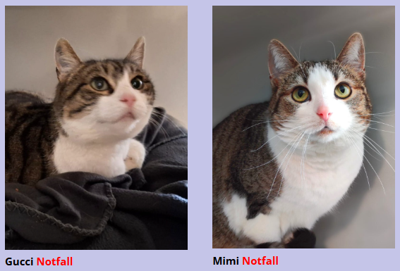 Einen wunderbaren Rutsch