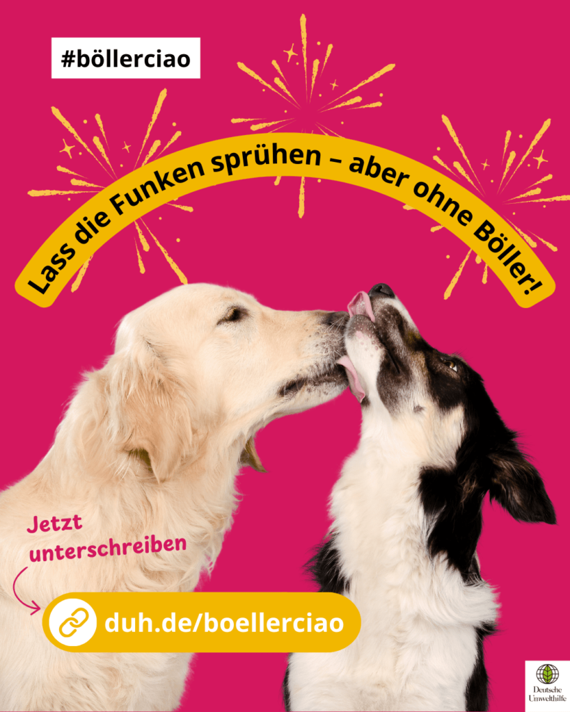 Petition der DUH für böllerfreies Silvester