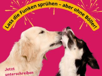 Petition der DUH für böllerfreies Silvester