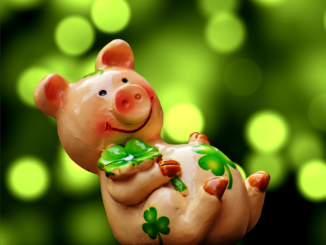 Einen wunderbaren Rutsch