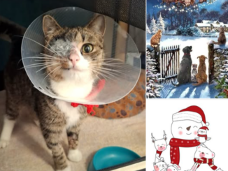 Plinky - ein Weihnachtsmär- äh ... Weihnachtsmädchen