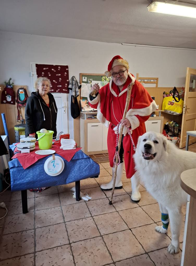Das war unsere Tierweihnacht