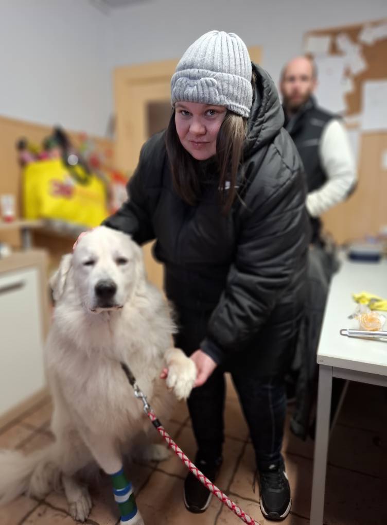 Das war unsere Tierweihnacht