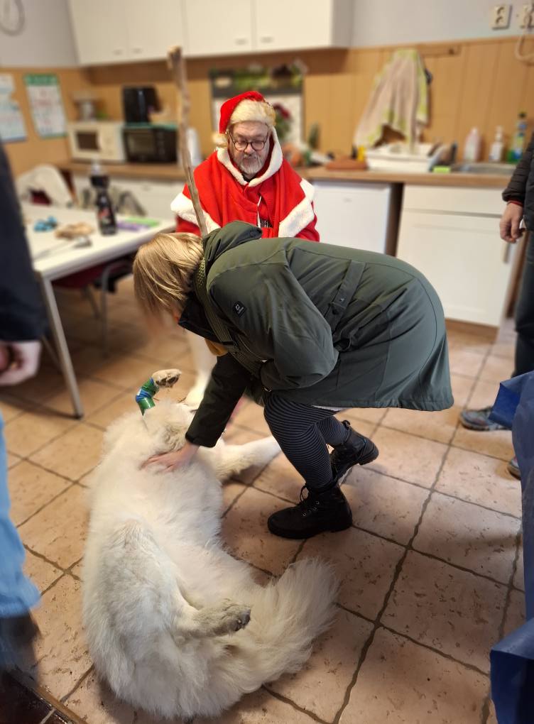 Das war unsere Tierweihnacht