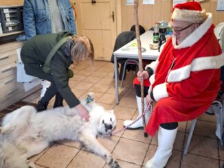 Das war unsere Tierweihnacht