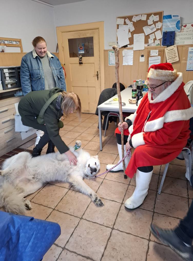 Das war unsere Tierweihnacht