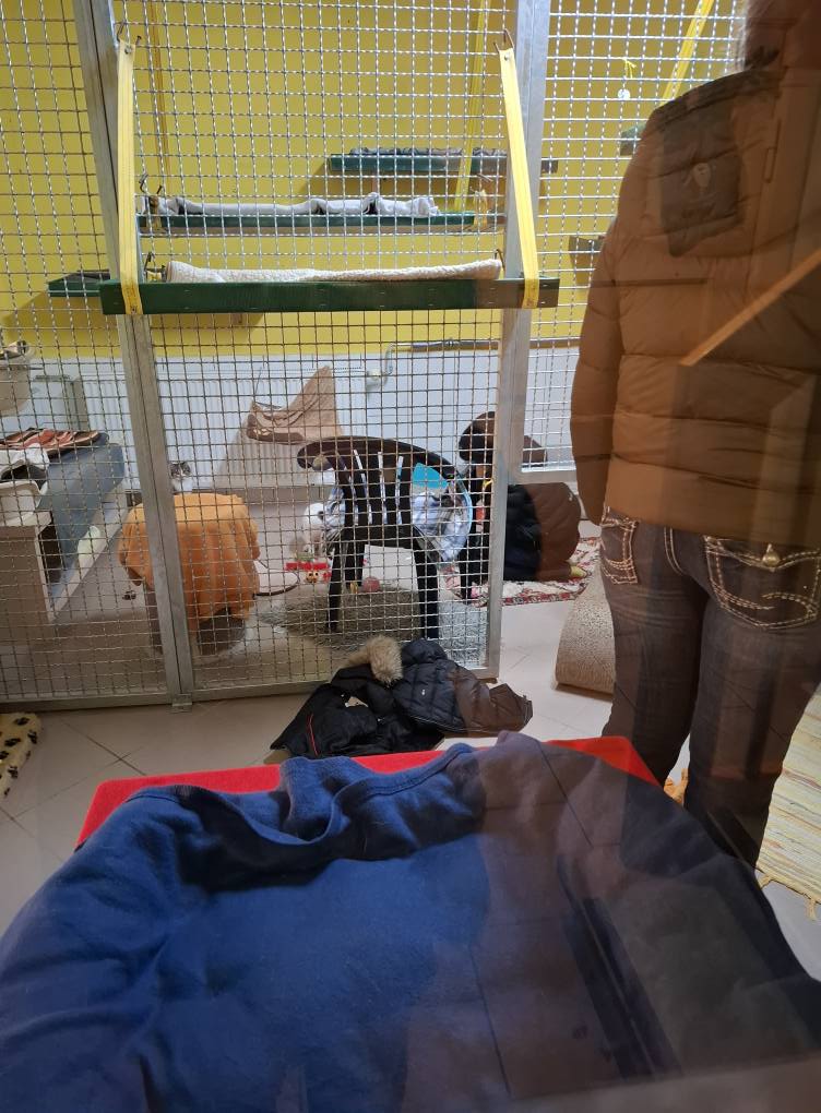 Das war unsere Tierweihnacht