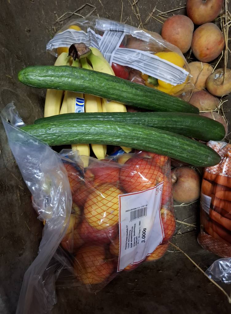 Das war unsere Tierweihnacht