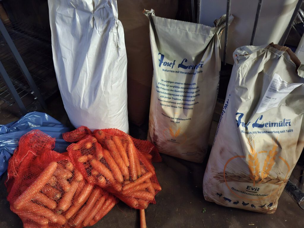 Das war unsere Tierweihnacht