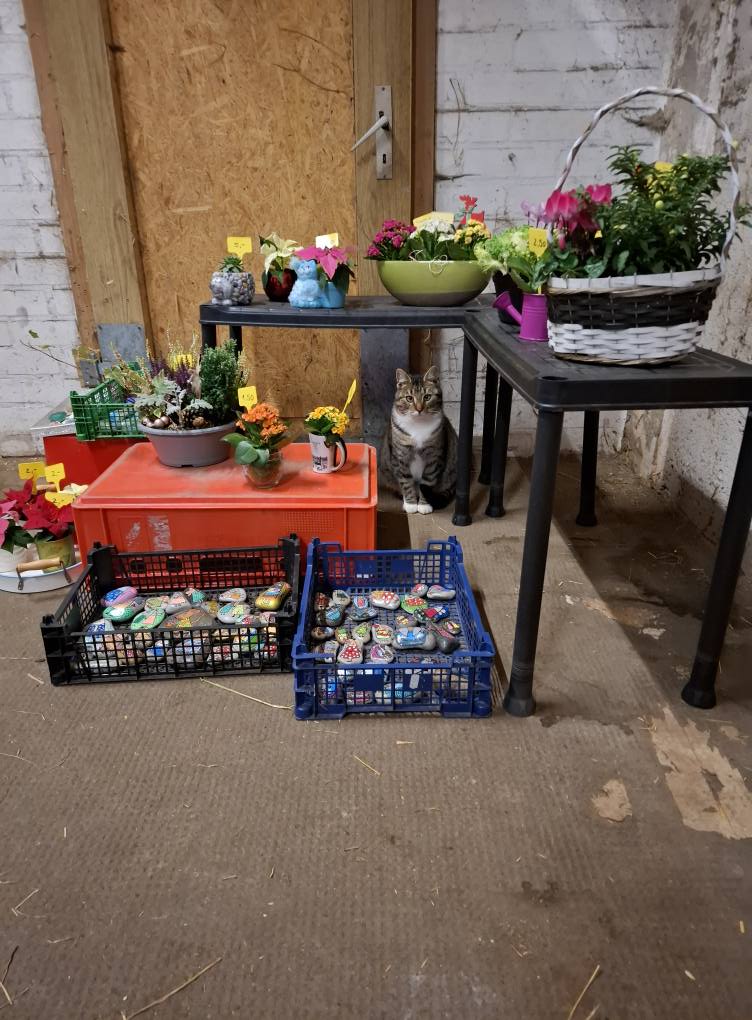 Das war unsere Tierweihnacht