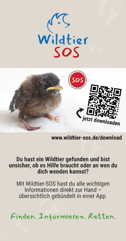 App "Wildtier SOS" ab März 2026 verfügbar