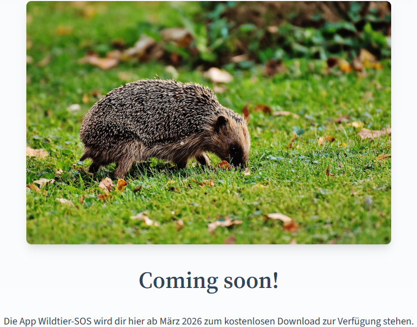 App "Wildtier SOS" ab März 2026 verfügbar