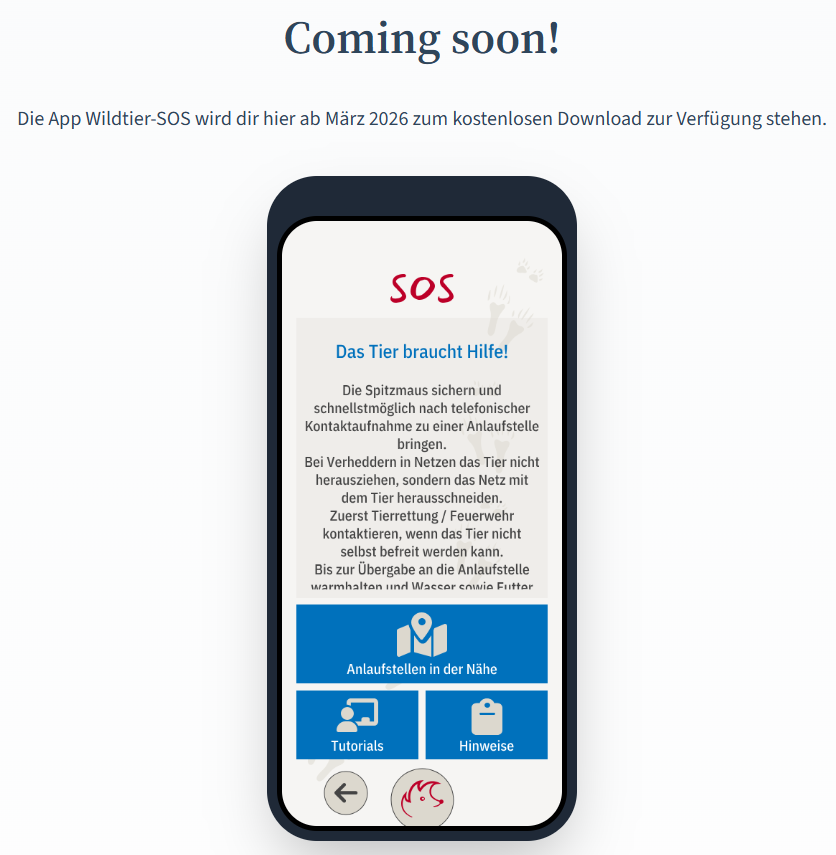 App "Wildtier SOS" ab März 2026 verfügbar
