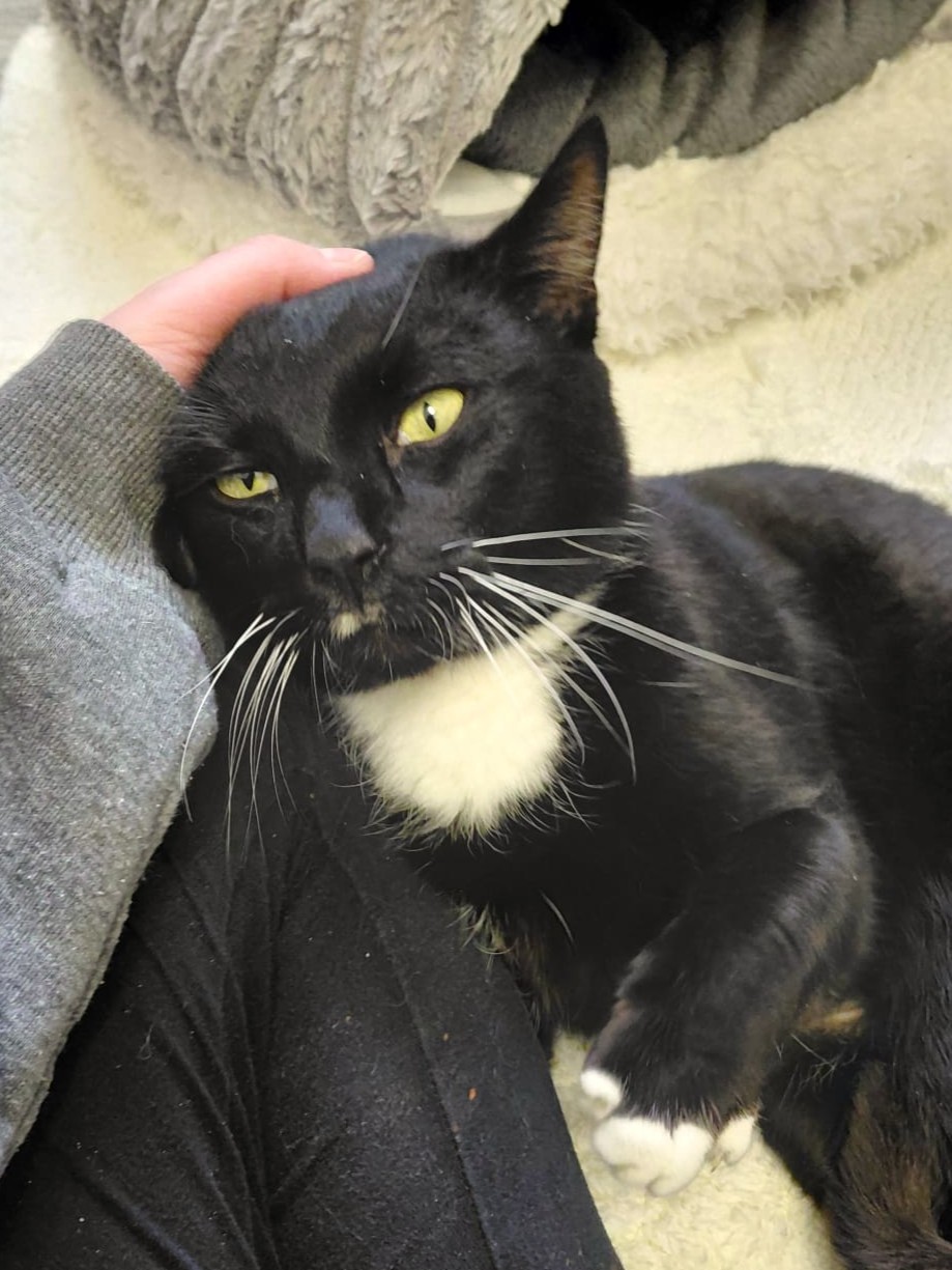 Moonpay braucht finanzielle Paten!