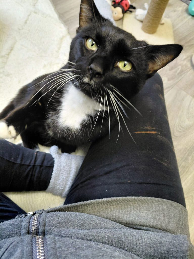 Moonpay braucht finanzielle Paten!