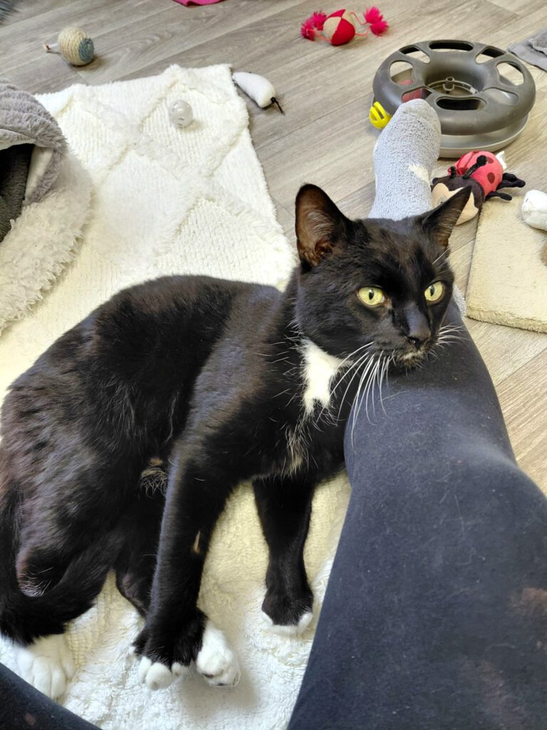 Moonpay braucht finanzielle Paten!