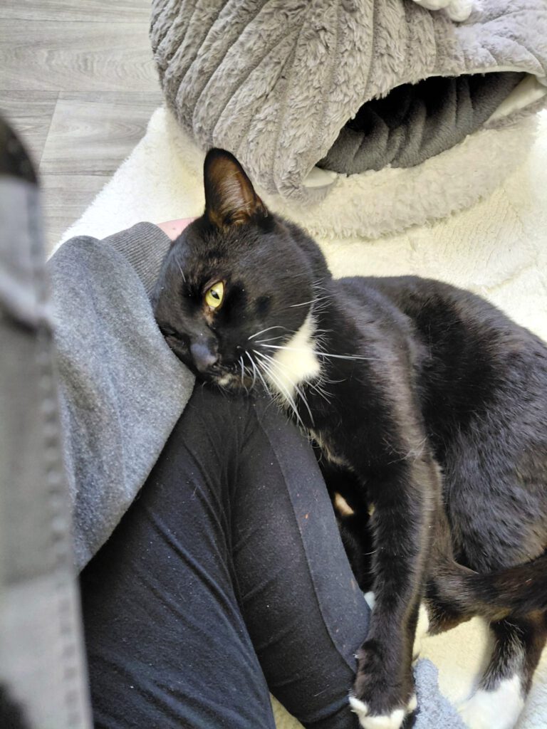 Moonpay braucht finanzielle Paten!