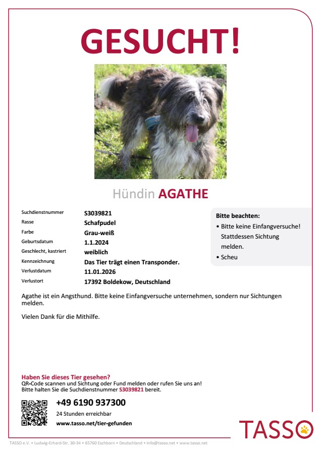 VERMISST: Agathe in 17392 Boldekow