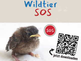 App "Wildtier SOS" ab März 2026 verfügbar