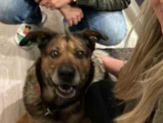 Wilmas Augen strahlen!!!