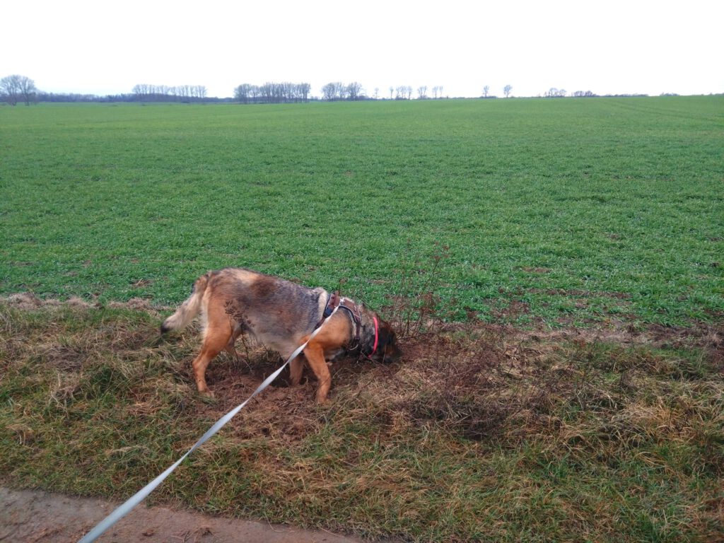 Wilmas Augen strahlen!!!