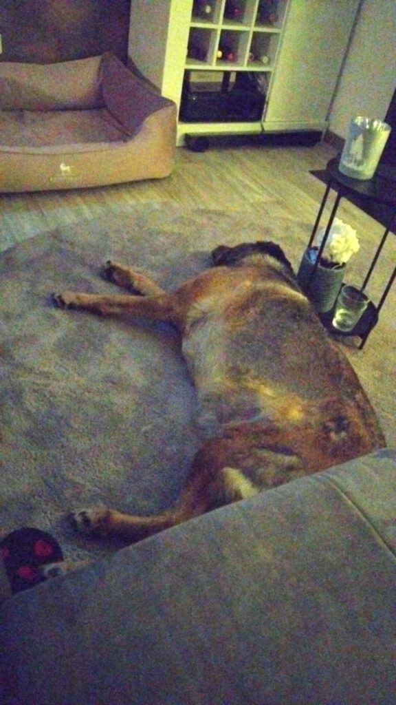 Wilmas Augen strahlen!!!