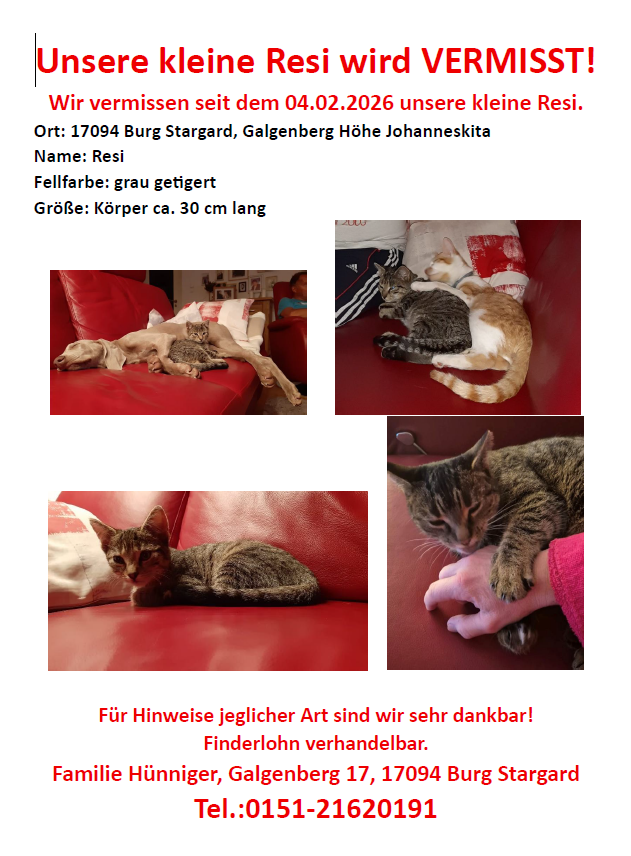 VERMISST: Katze Resi in 17094 Burg Stargard