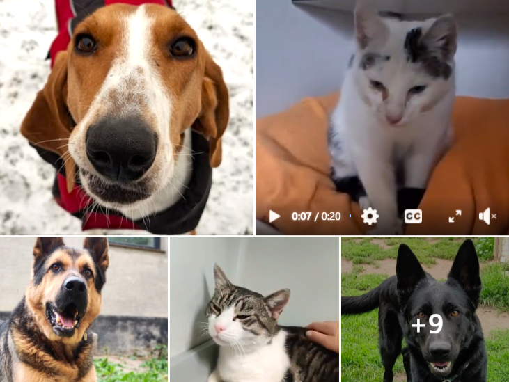 Wir brauchen noch mehr Teamer!