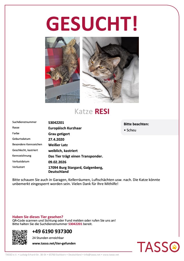 VERMISST: Katze Resi in 17094 Burg Stargard