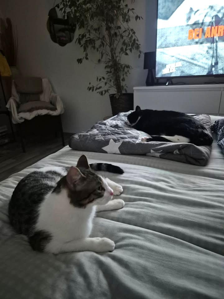 Cosmo, nun Casi, schickt glückliche Grüße