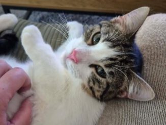 Cosmo, nun Casi, schickt glückliche Grüße