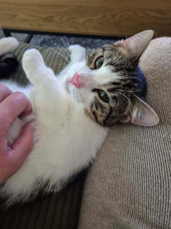 Cosmo, nun Casi, schickt glückliche Grüße