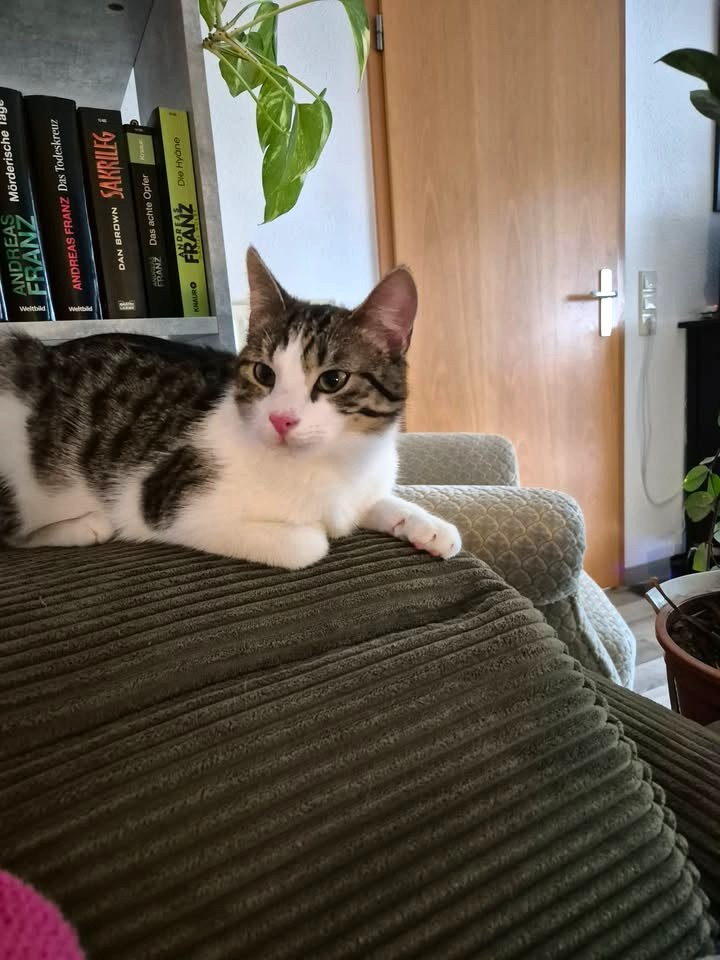 Cosmo, nun Casi, schickt glückliche Grüße