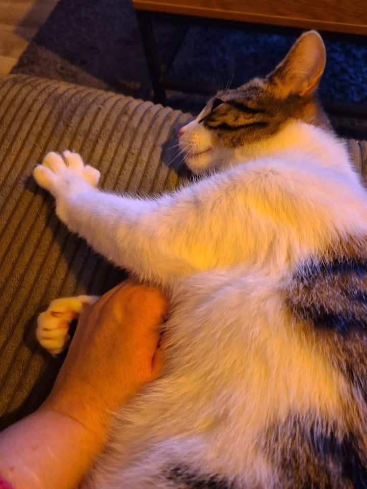 Cosmo, nun Casi, schickt glückliche Grüße