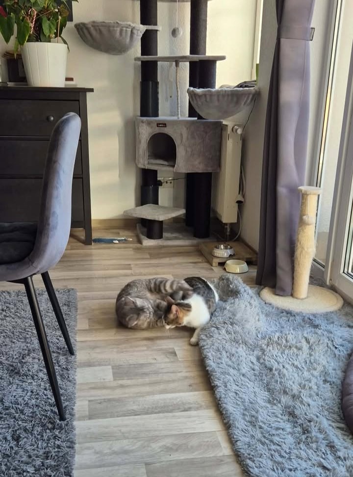 Cosmo, nun Casi, schickt glückliche Grüße