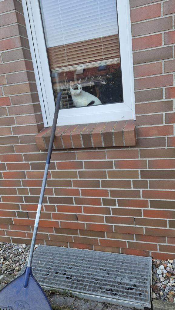 Lotta fühlt sich pudelwohl