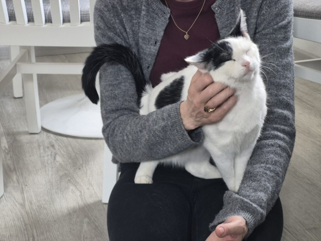 Lotta fühlt sich pudelwohl