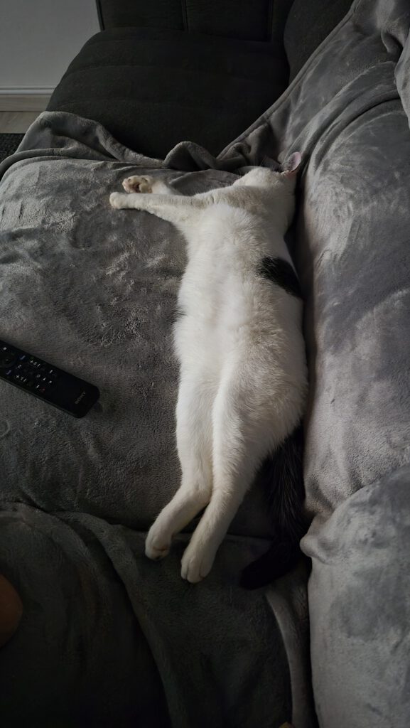 Lotta fühlt sich pudelwohl