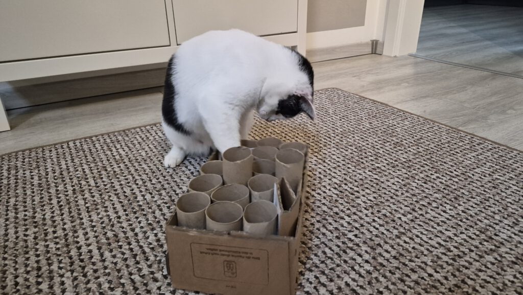 Lotta fühlt sich pudelwohl