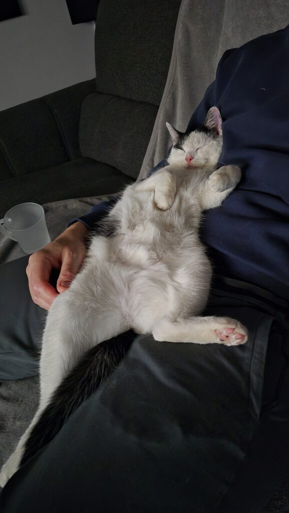 Lotta fühlt sich pudelwohl