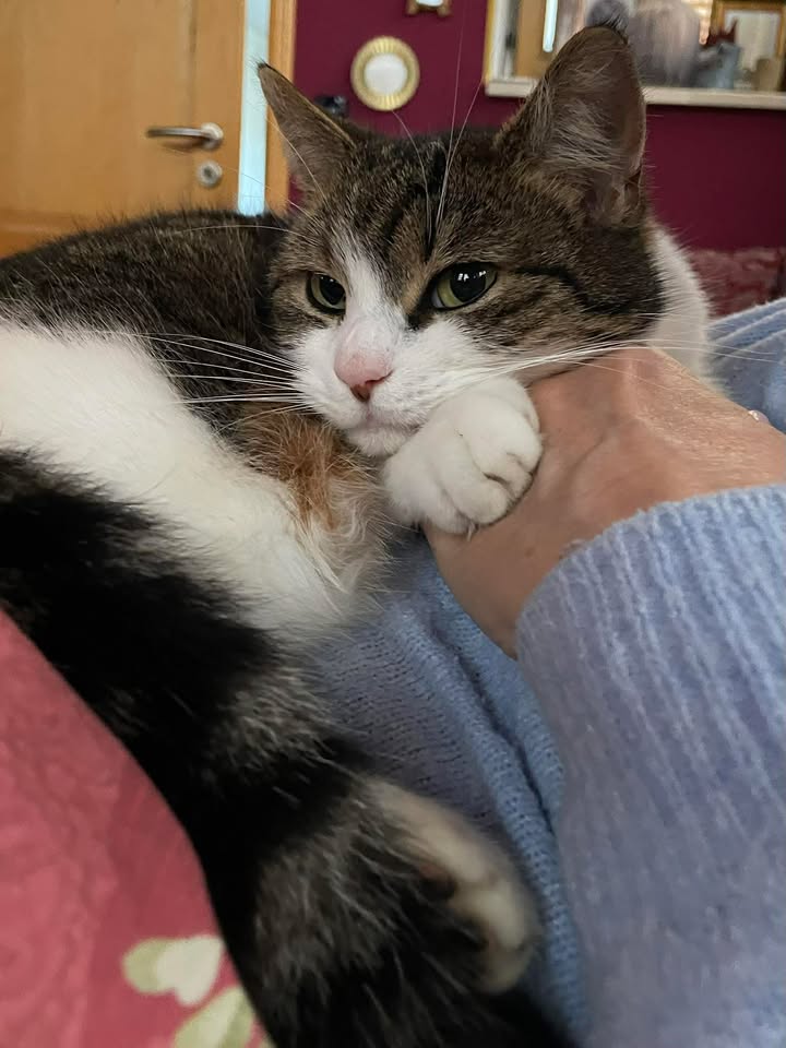 Verkuschelte Grüße von Mina