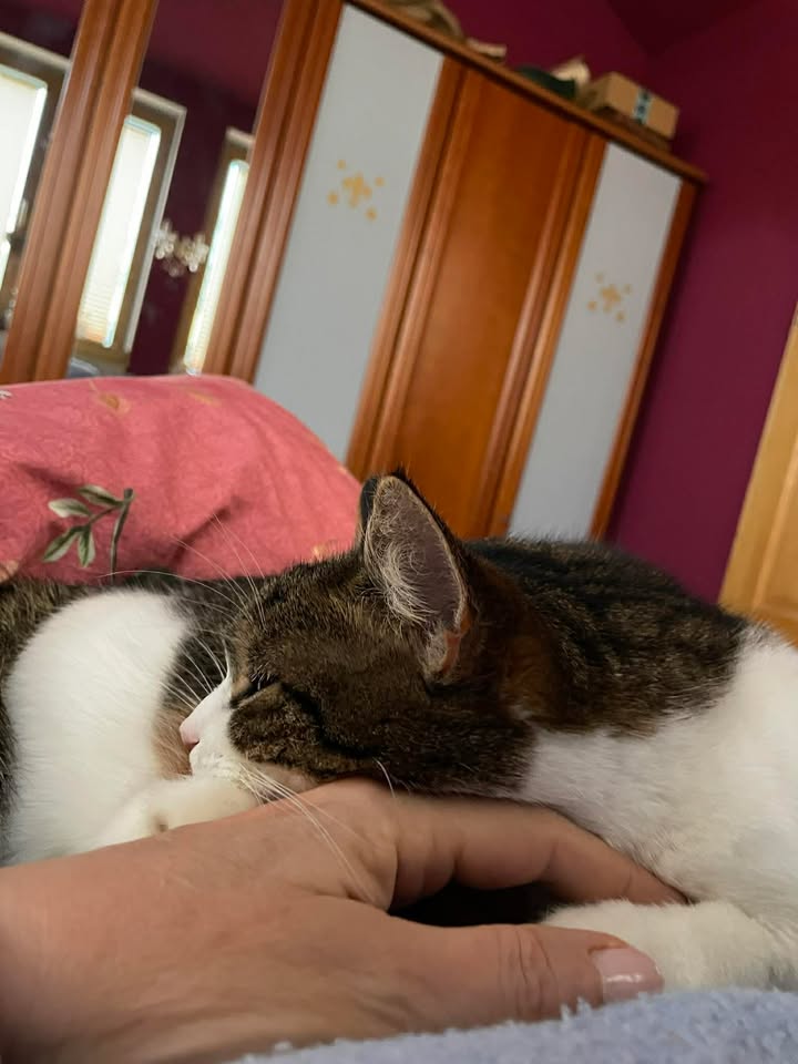 Verkuschelte Grüße von Mina